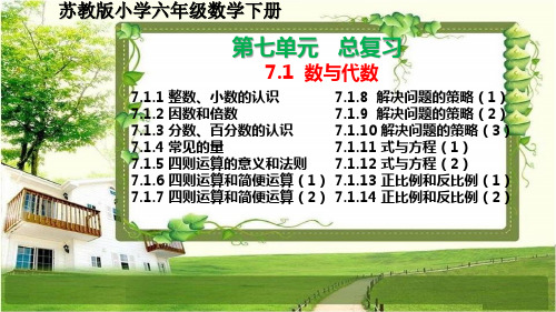 苏教版小学六年级数学下册第七单元7.1《数与代数》PPT课件