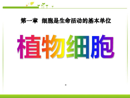 植物细胞2-精品课件
