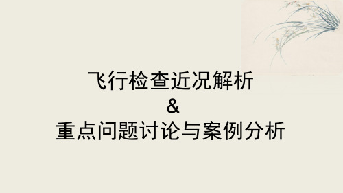 飞行检查课件