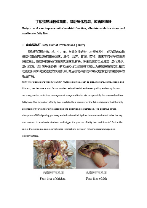 三丁酸甘油酯改善脂肪肝