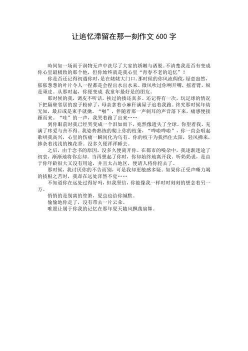 让追忆滞留在那一刻作文600字