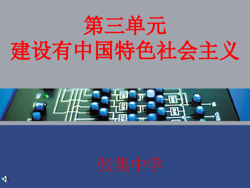 八年级历史下第三单元复习