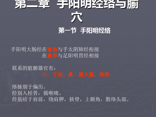 【中医课件】 手阳明经络与腧穴