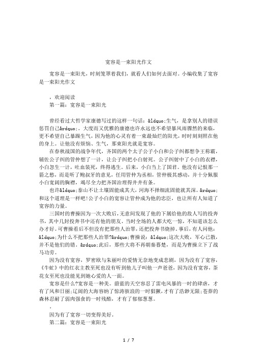 宽容是一束阳光作文