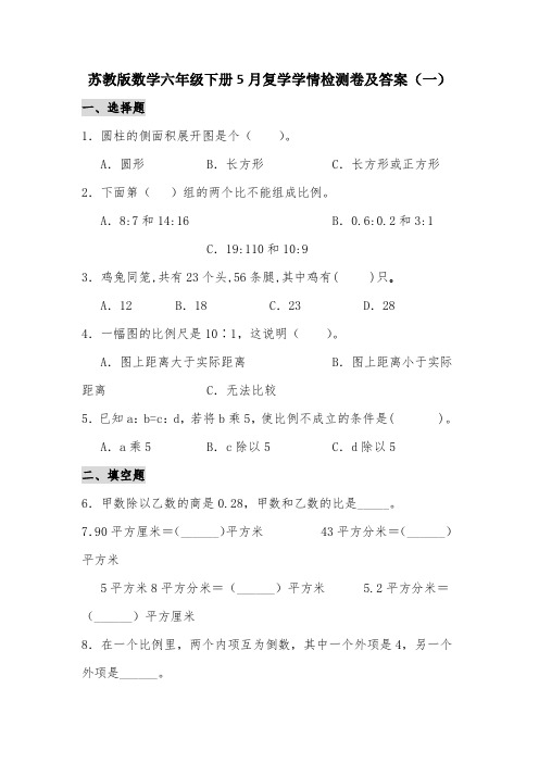 2020苏教版数学六年级下册5月复学学情检测卷及答案共2套