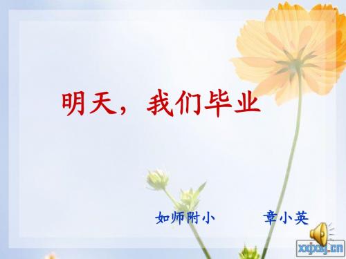 《明天,我们毕业》课件