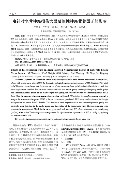 电针对坐骨神经损伤大鼠脑源性神经营养因子的影响