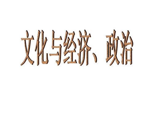 高二政治文化与经济、政治4(教学课件201909)