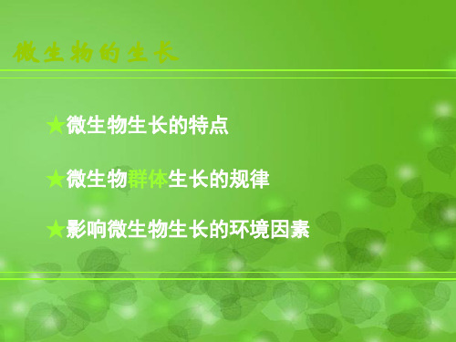 微生物的生长PPT教学课件