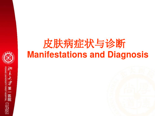 皮肤病症状与诊断(八年制讲课)-精品医学课件