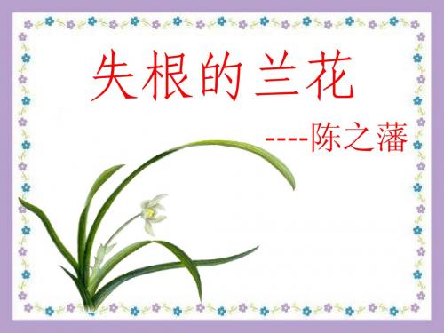 失根的兰花