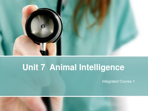 英语Animal Intelligence