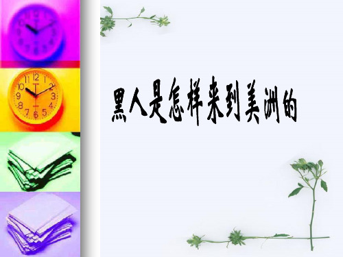 黑人是怎样来到美洲的