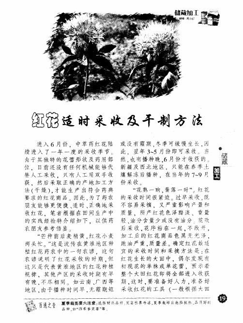 红花适时采收及干制方法
