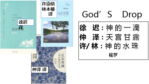 高中语文苏教课标版必修一《神的一滴》范煊聪PPT课件 一等奖新名师优质课1
