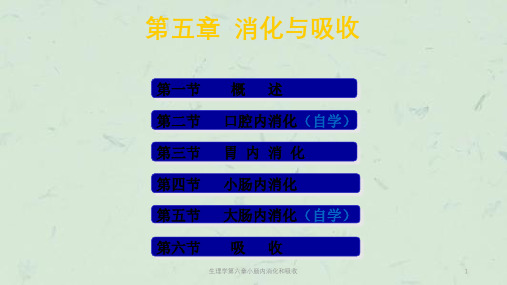生理学第六章小肠内消化和吸收课件