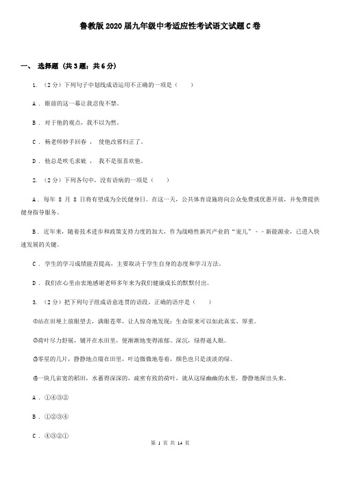 鲁教版2020届九年级中考适应性考试语文试题C卷