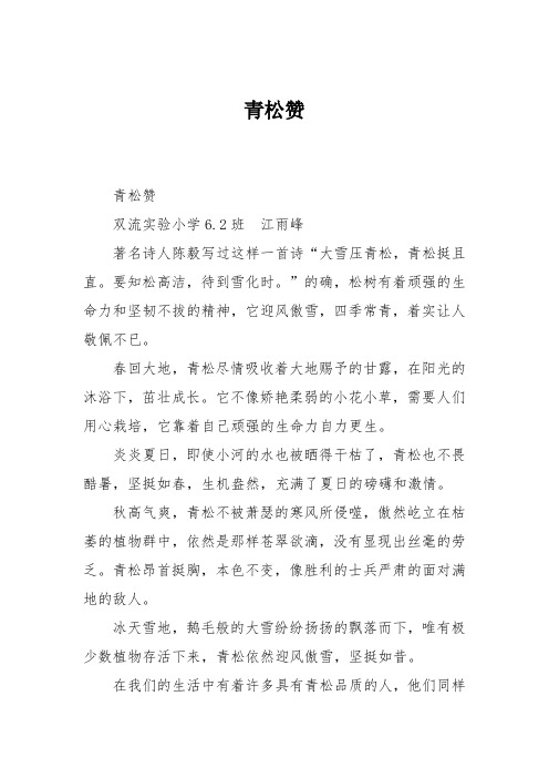 小学六年级作文：青松赞