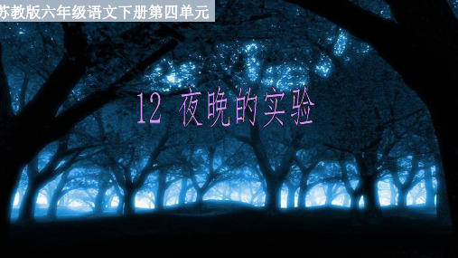 苏教版六年级语文下册《文  12 夜晚的实验》优质课课件_9
