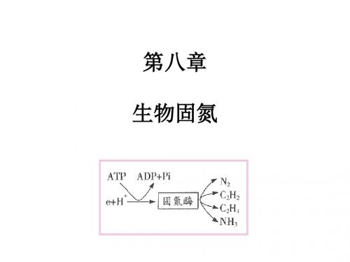 生物固氮