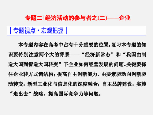 高考政治 二轮复习 模块一 专题二 经济活动的参与者-企业