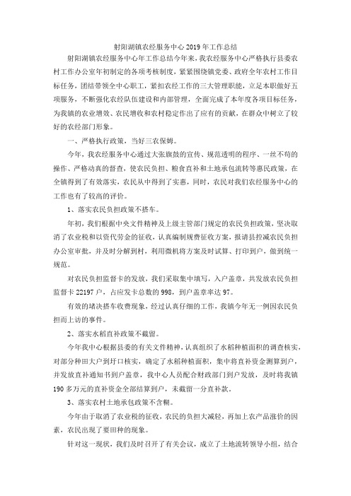 最新-射阳湖镇农经服务中心2019年工作总结 精品