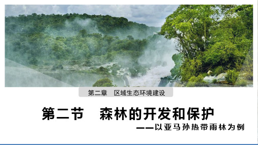 人教版必修三2.2森林的开发和保护—以亚马孙热带雨林为例