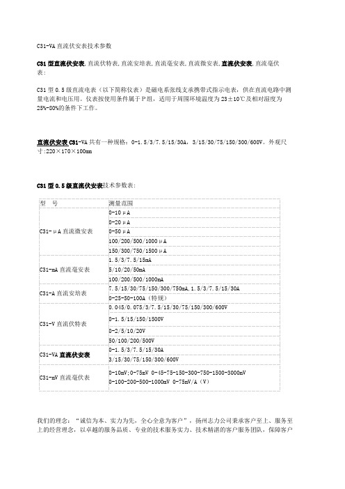 C31VA直流伏安表技术参数