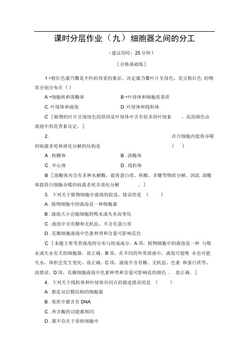2019-2020学年人教版生物必修一课时分层作业：9细胞器之间的分工Word版含解析
