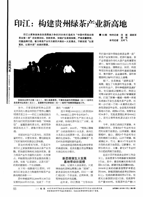 印江：构建贵州绿茶产业新高地