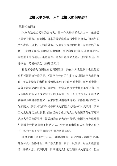 比格犬多少钱一只？比格犬如何喂养？
