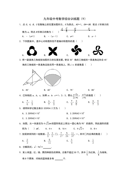 九年级中考数学综合训练题9(培优)