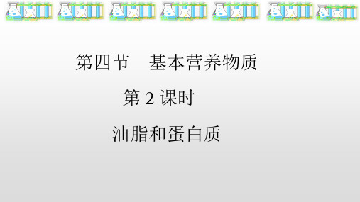 蛋白质和油脂