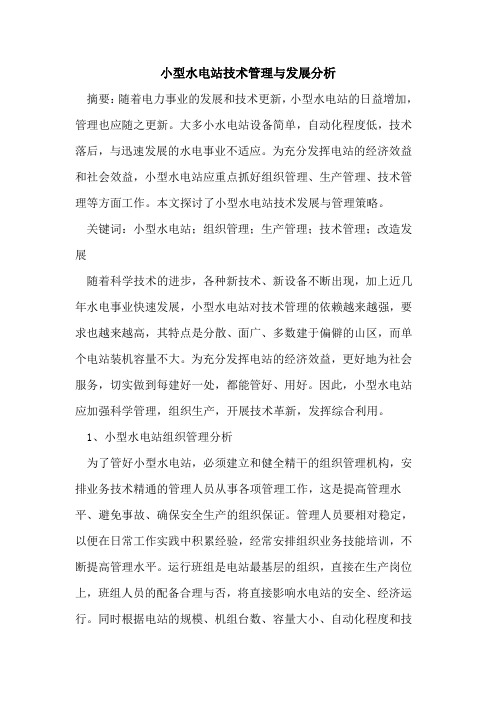 小型水电站技术管理与发展分析[论文]