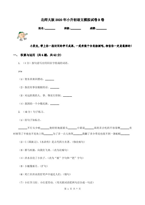 北师大版2020年小升初语文模拟试卷B卷