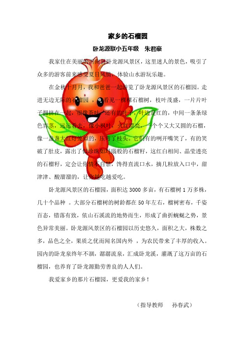 家乡的石榴园