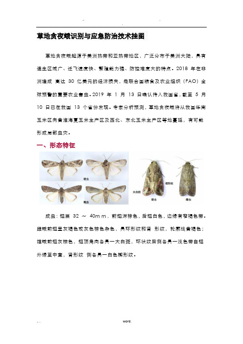 草地贪夜蛾识别及应急防治技术挂图