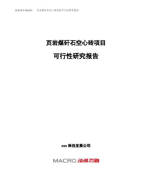 (投资参考建议模板)页岩煤矸石空心砖项目可行性研究报告