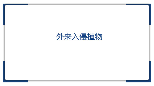 外来入侵植物