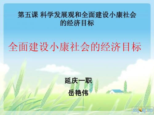 全面建设小康社会的经济目标课件