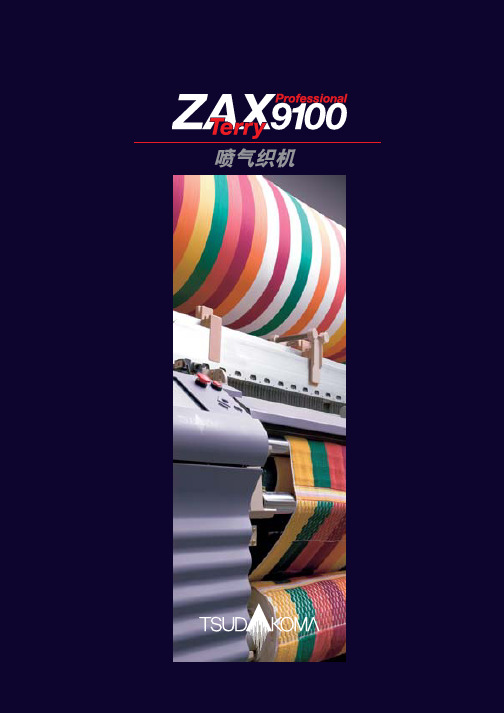 ZAX9100Terry_ch