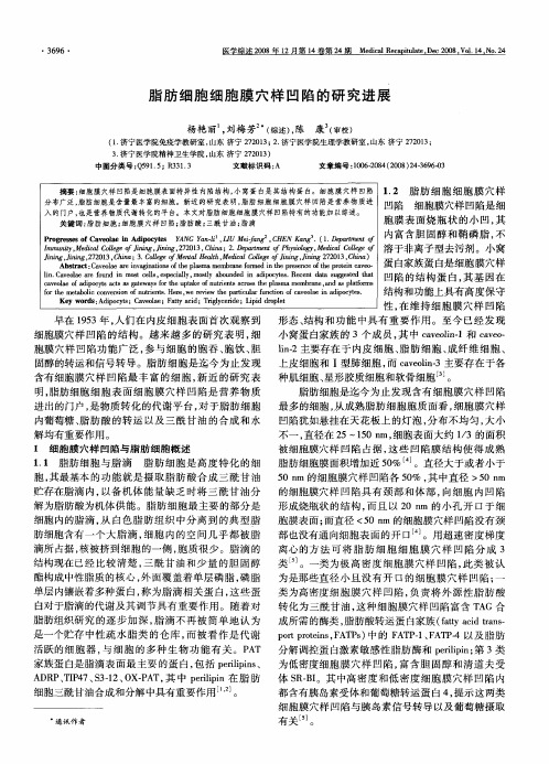 脂肪细胞细胞膜穴样凹陷的研究进展