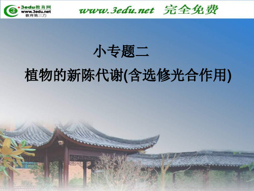 届高考生物第三轮突破专题课件