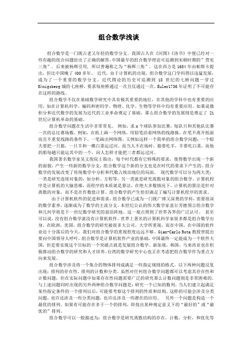 组合数学论文