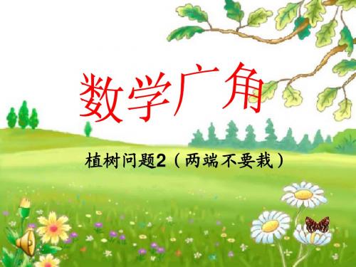 数学广角植树问题第2课时