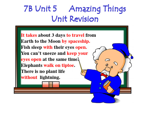 牛津译林英语七年级下册Unit5 Revision  (共31张PPT)