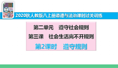 八上道法同步课时过关训练2.3.2遵守规则