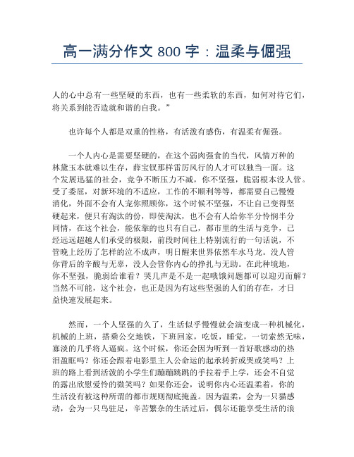 高一满分作文800字：温柔与倔强