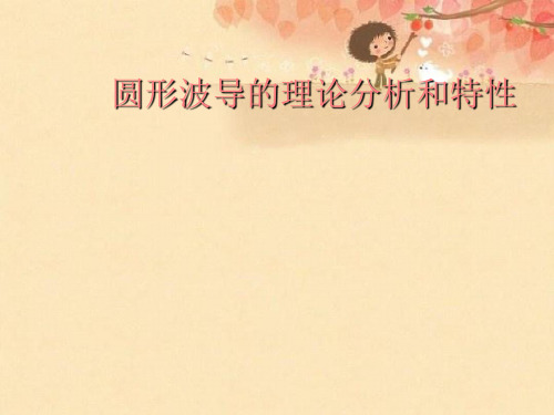 圆形波导的理论分析和特性精品课件