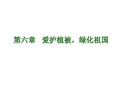 第6章爱护植被绿化祖国ppt课件